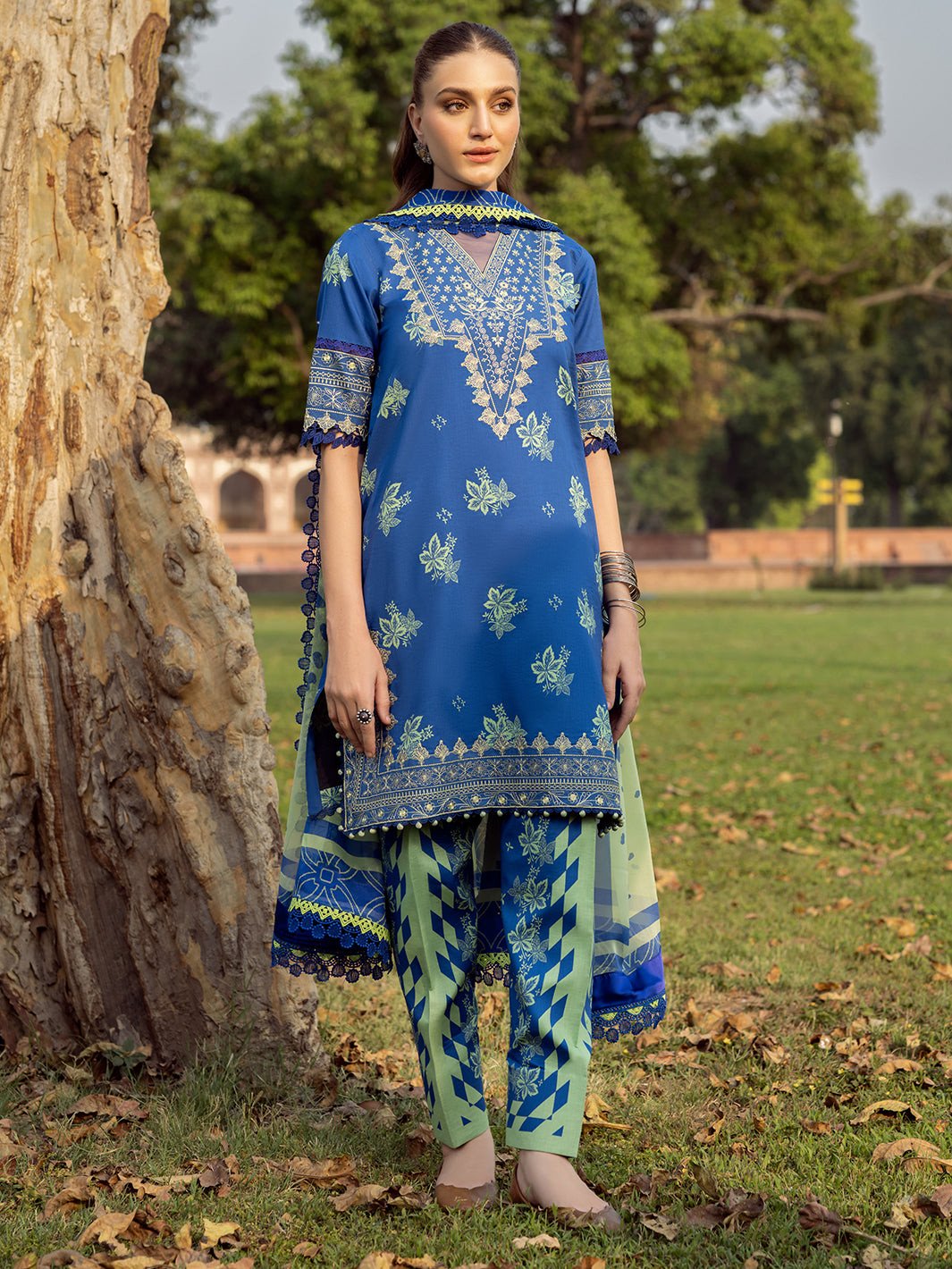 Bin Ilyas Naqsh Unstitched Lawn Exclusive Collection | D12