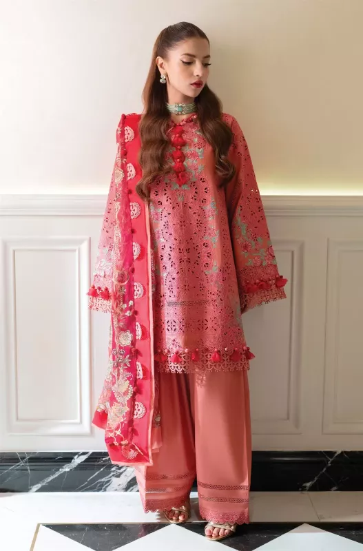 JADE OMBRE STARLET 20826