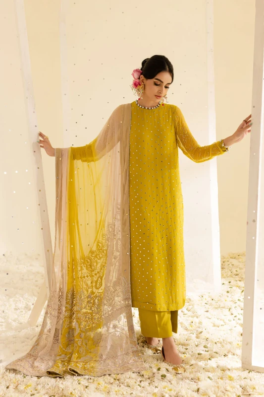 Nureh Mukeshkari Embroidered Chiffon | MK-08