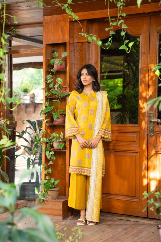 Beena By Beyond East Unstitched Collection 25 | wue154518