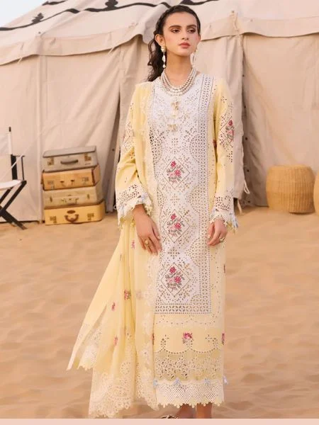 QALAMKAR CHIKANKARI EID EDIT '2024