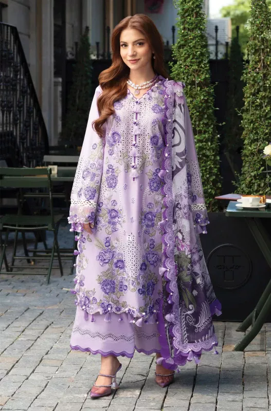 JADE OMBRE STARLET 20824