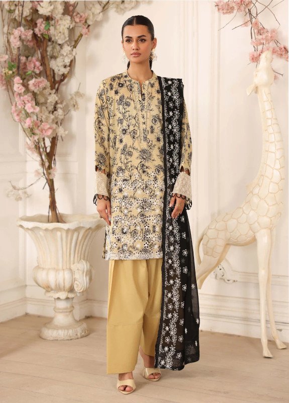 Johra Afseen Unstitched Collection | JH-1017