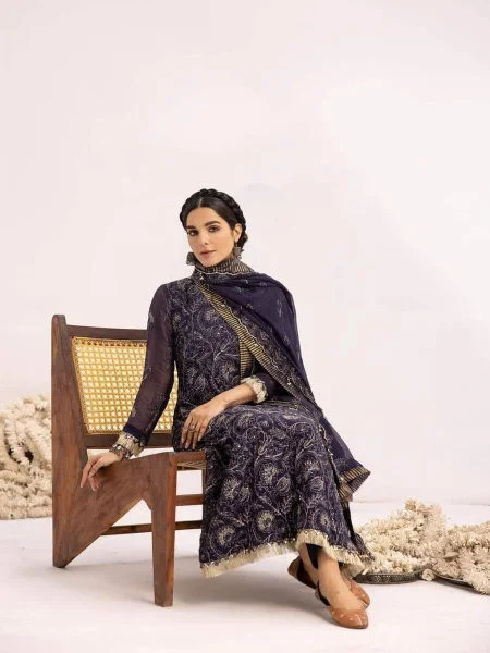 Exclusive Chiffon Meenakari by Khoobsurat"24