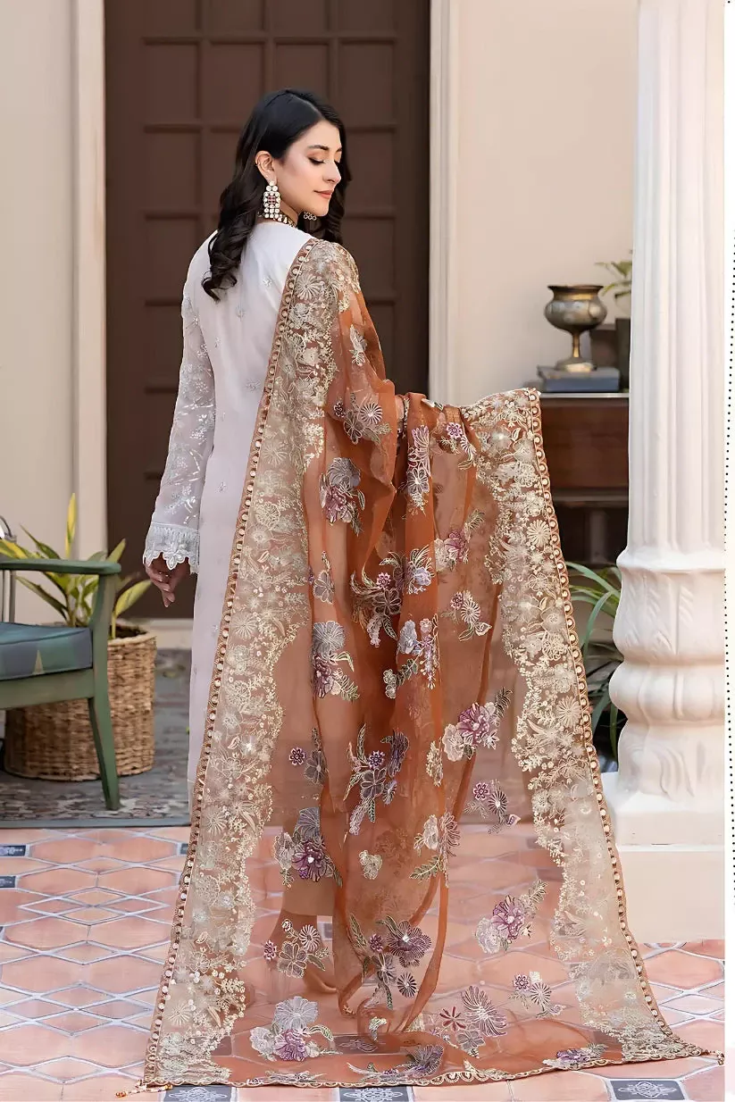 Noor's Luxury Chiffon D-04