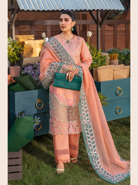 RANG RASIYA RANIA Premium Eid Collection '24