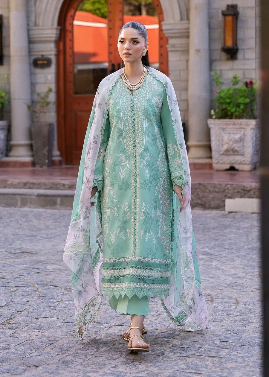 Saira Shakira Chloe 3 B Bloom Lawn 2025 |  SHELAI27711