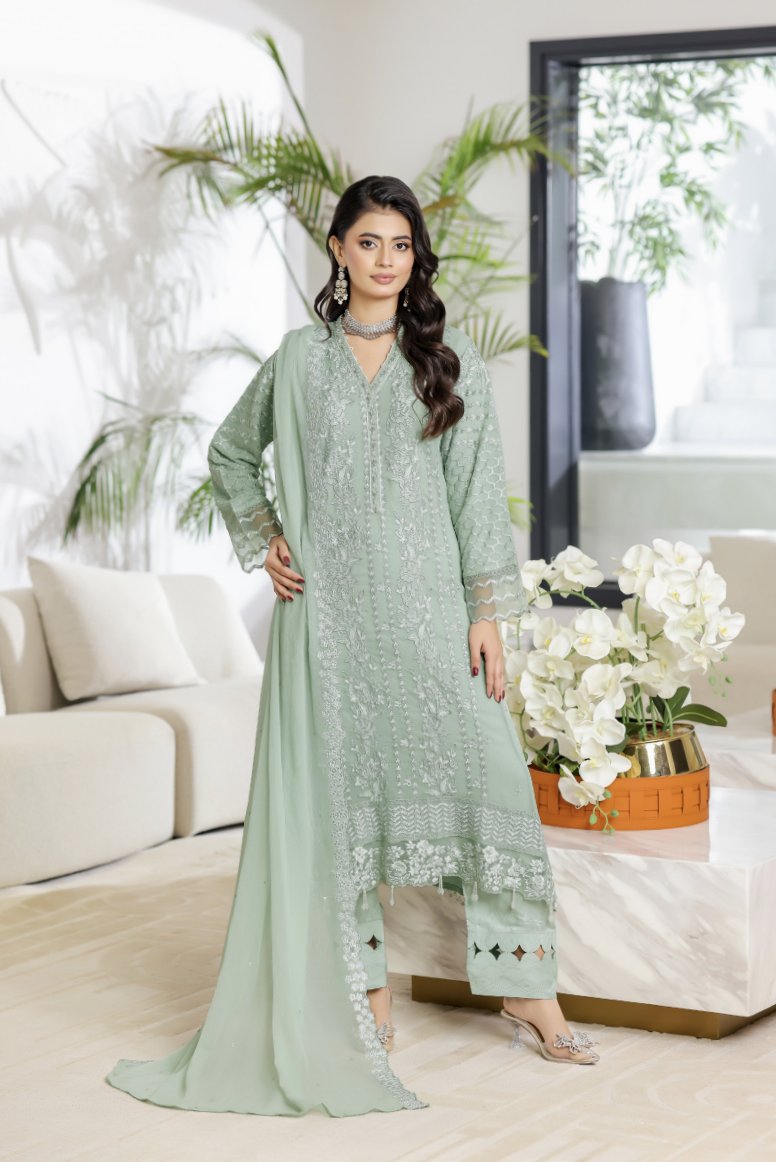 Noor's Dhania Stitched Collection| D-N 01