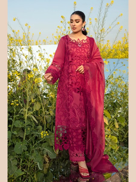 RANG RASIYA MAYA Premium Eid Collection '24