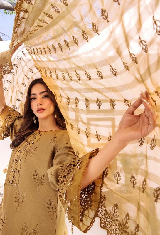 Adan's Libas Stella Stitched Collection