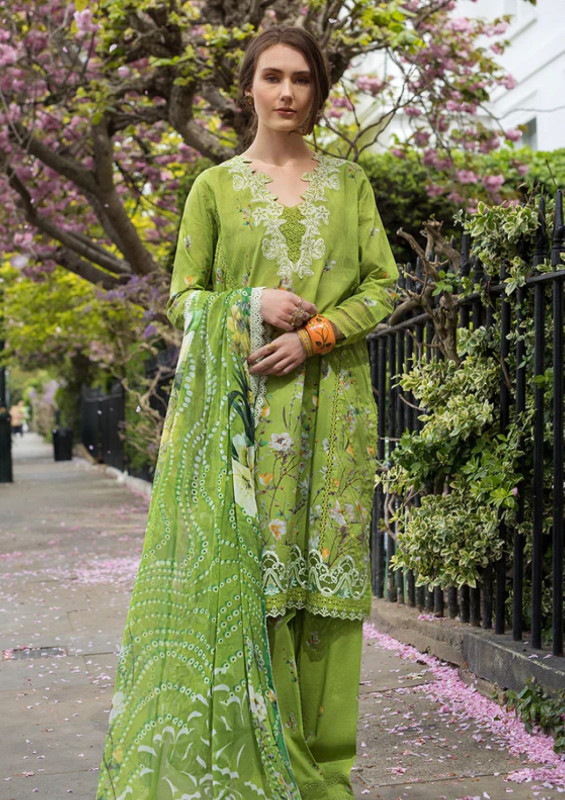 Sobia Nazir Basics Unstitched Collection 25 | SNBS#3A