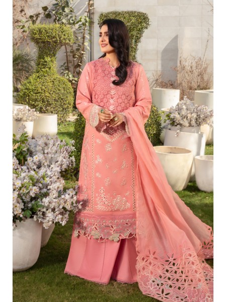 RANG RASIYA PARISA Premium Eid Collection '24