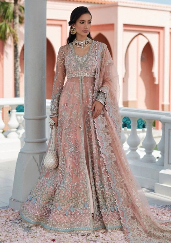 Suffuse Naz Freeshia Festive Collection I SHELAI3524